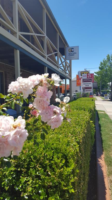 Sandstock Motor Inn Armidale Eksteriør bilde